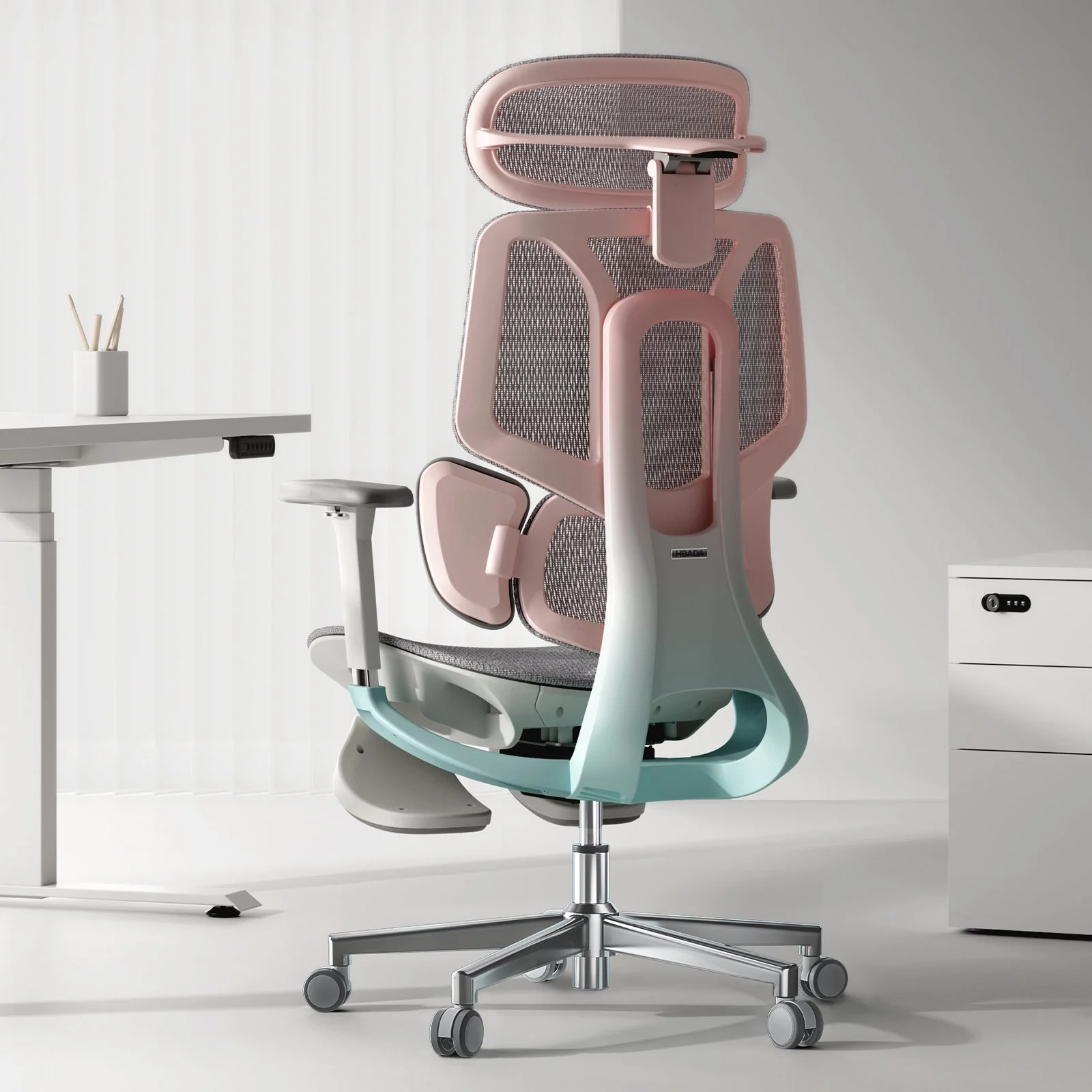Pro Ergonomic Chair with Footrest