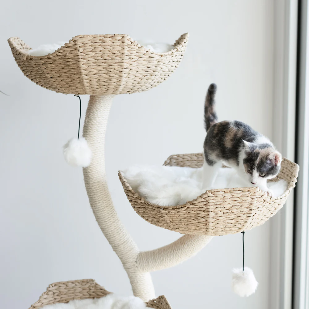 Cat Tree