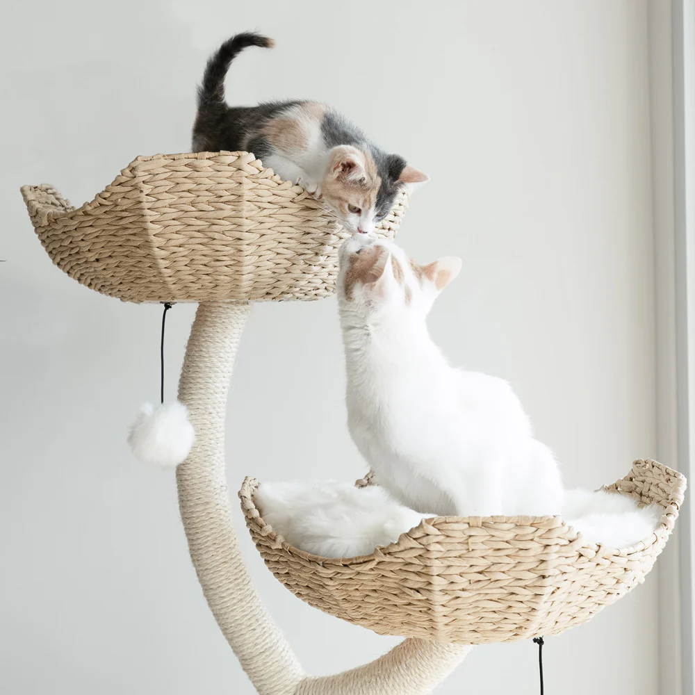 Cat Tree