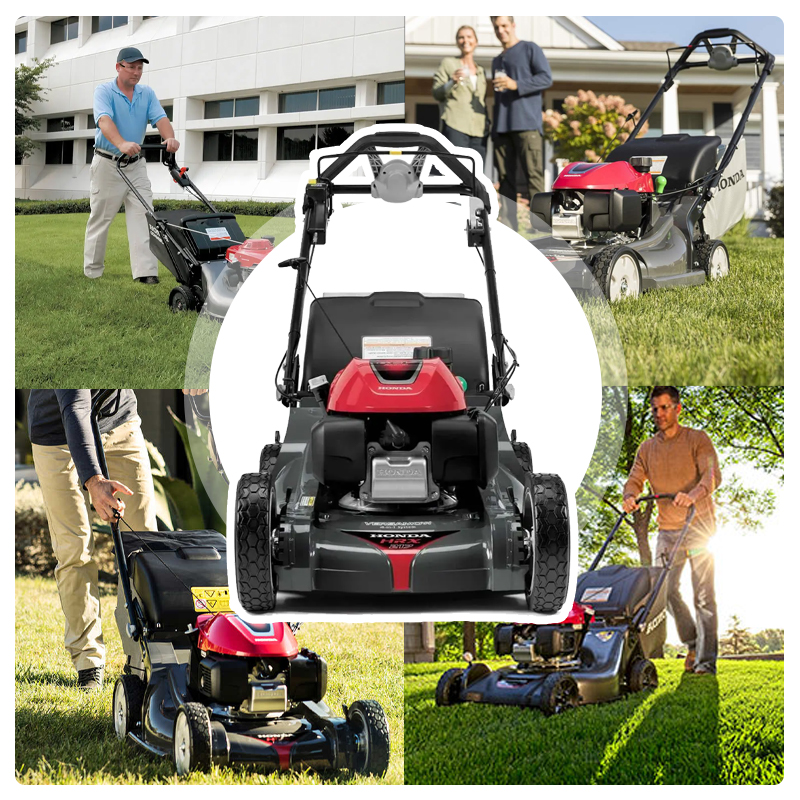 Self-propelled Gas Lawn Mower