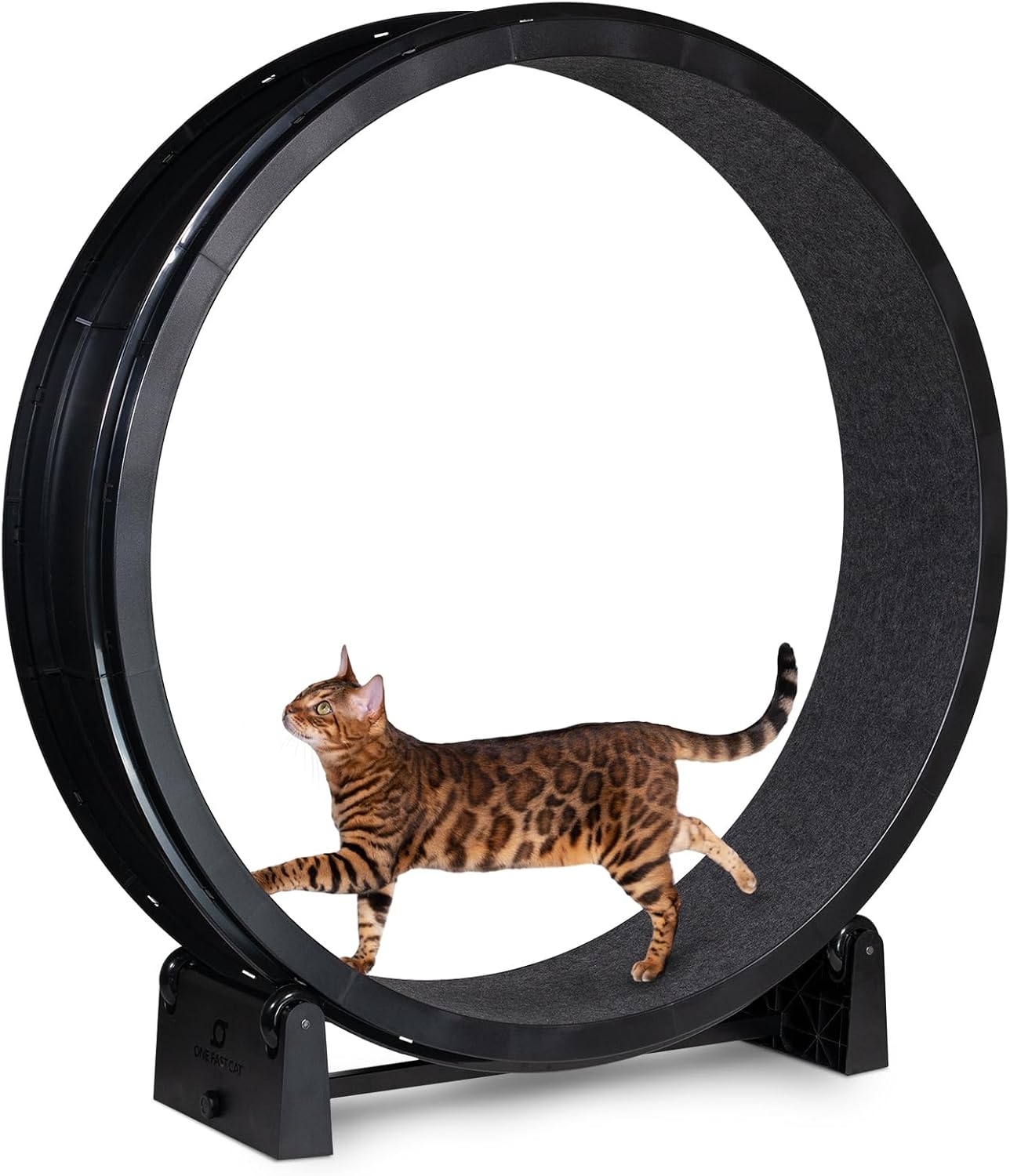 Cat Exercise Wheel  - Safe 48
